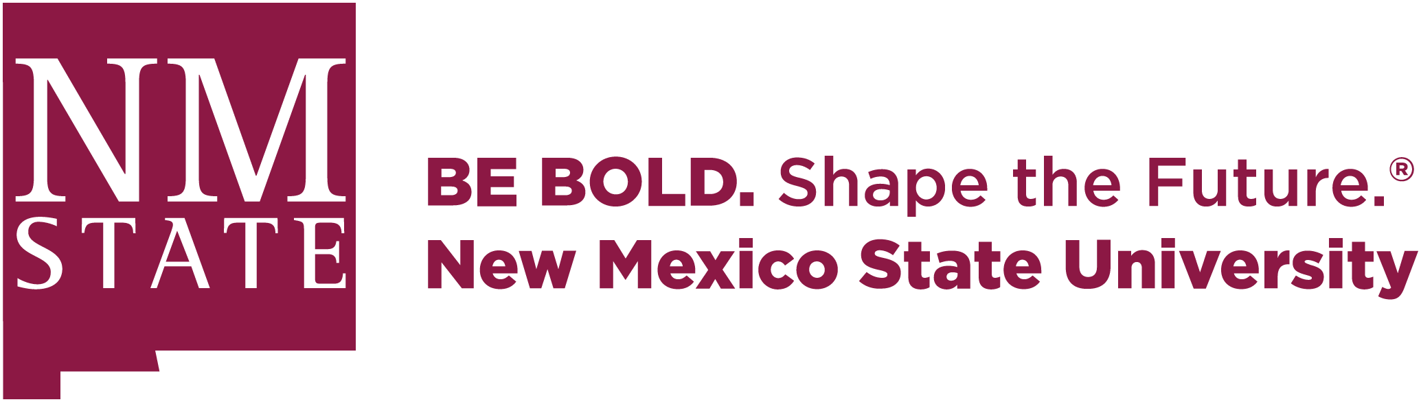 NMSU Cybersecurity Club